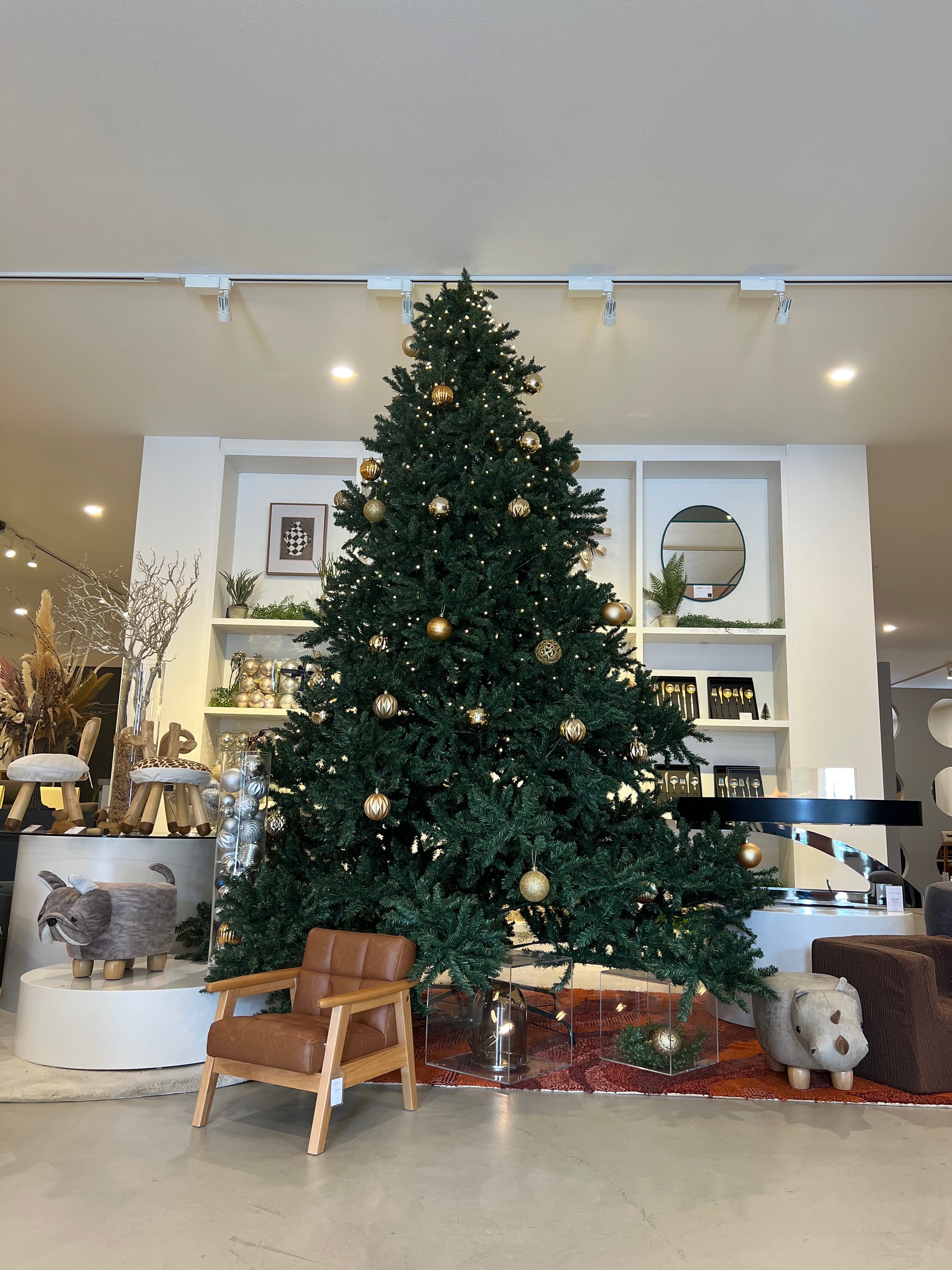 プラスコンテントのクリスマスが始まりました🎅