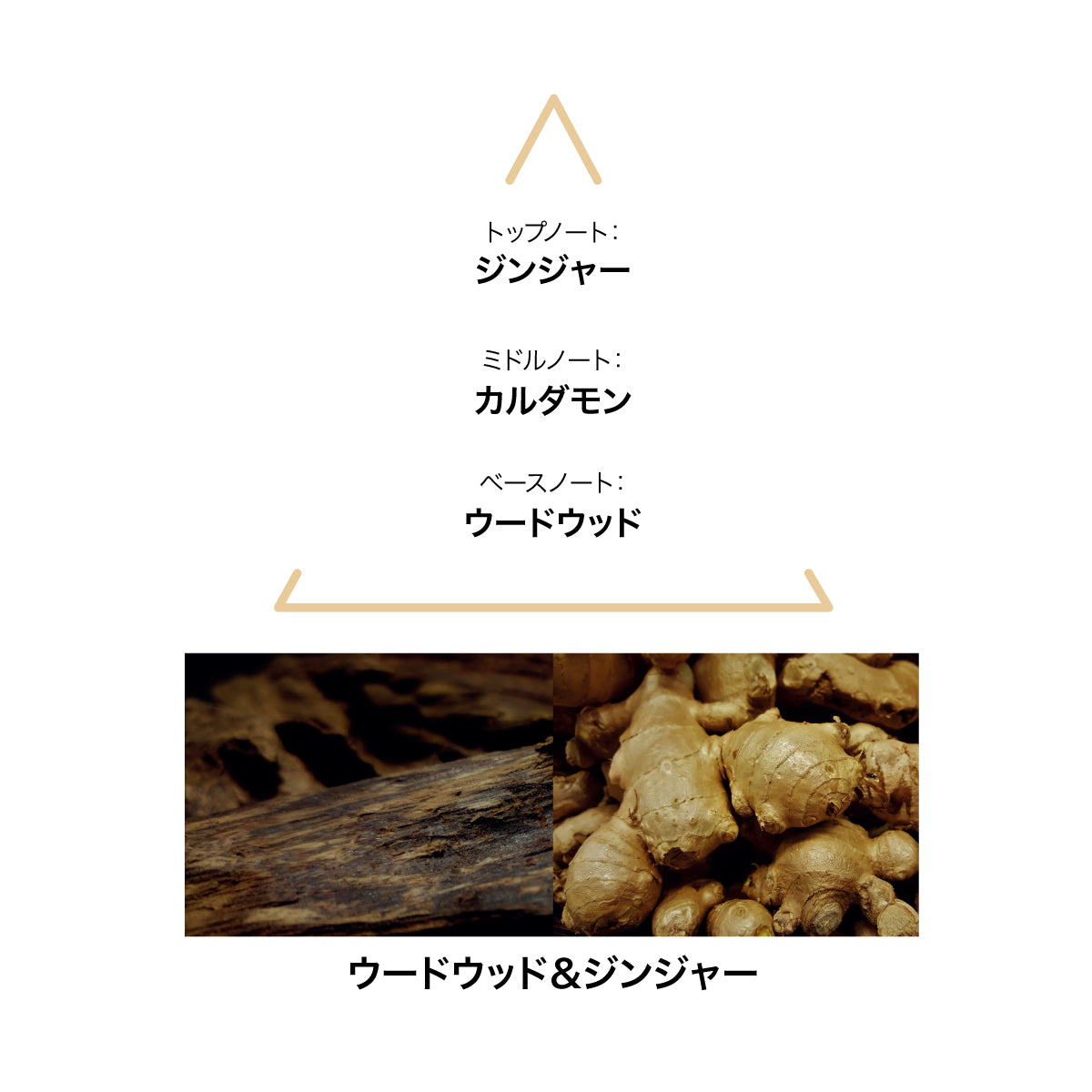 LE COUVENT エリアカ
