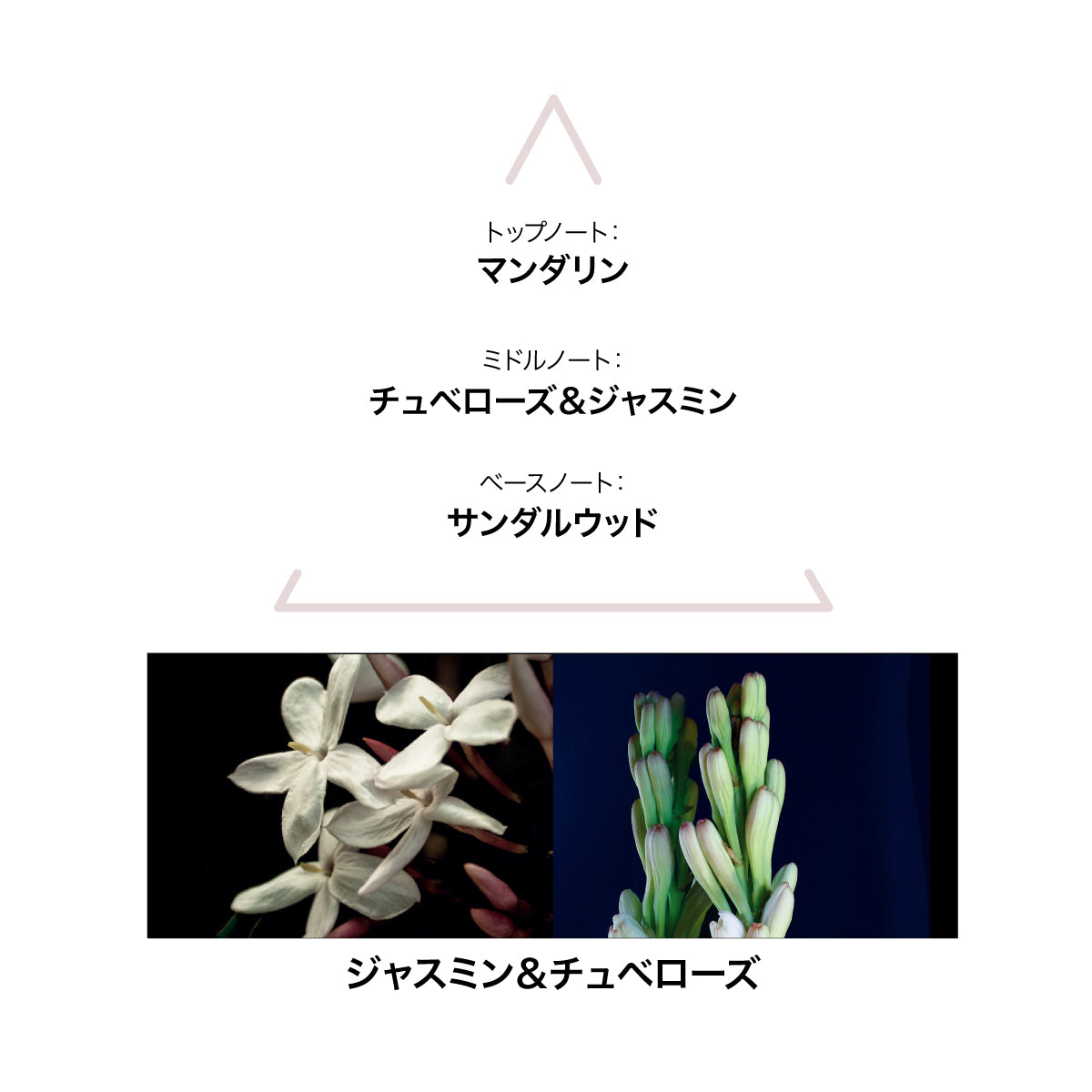 LE COUVENT アクアサクラエ