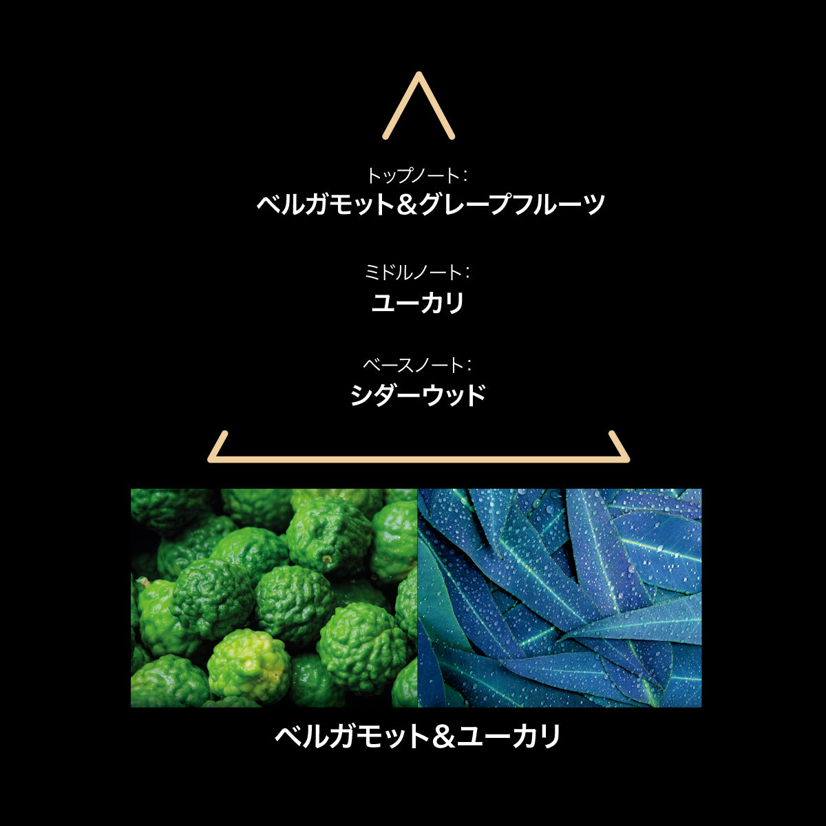 LE COUVENT サンタクルス