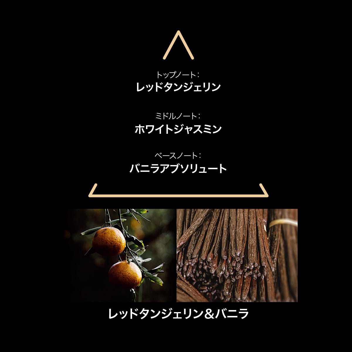 LE COUVENT ティナーレ